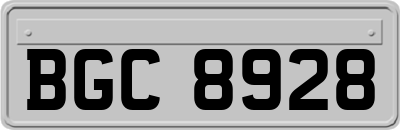BGC8928