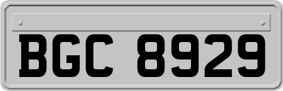 BGC8929