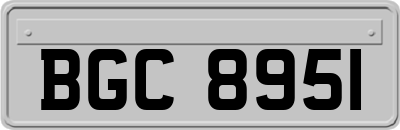 BGC8951