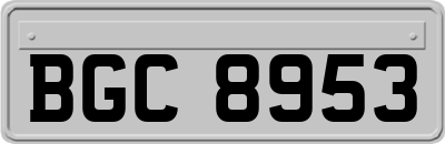 BGC8953