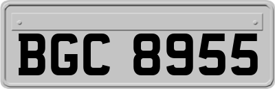 BGC8955
