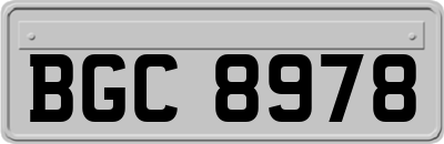 BGC8978
