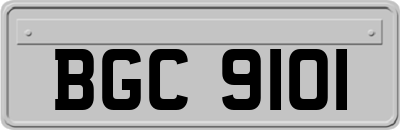 BGC9101