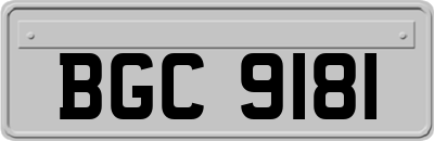 BGC9181
