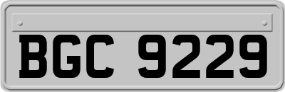 BGC9229