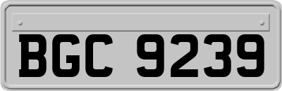 BGC9239