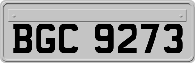 BGC9273