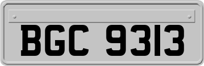 BGC9313