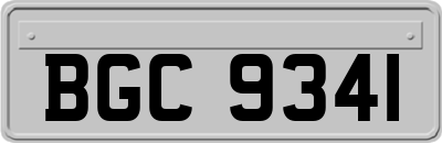BGC9341