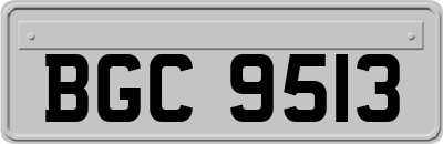 BGC9513