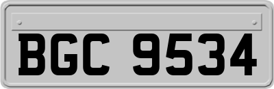 BGC9534