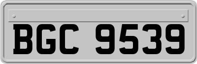 BGC9539