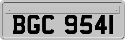 BGC9541