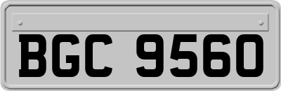 BGC9560