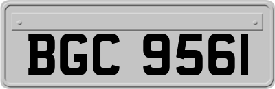 BGC9561