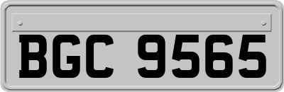 BGC9565