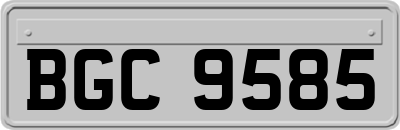 BGC9585