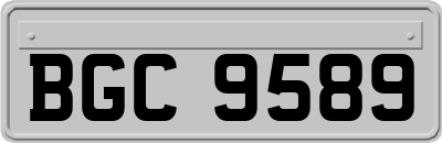 BGC9589