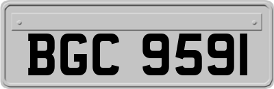 BGC9591