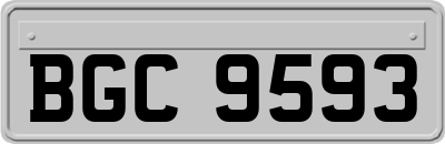 BGC9593