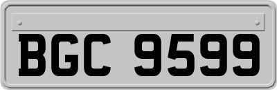 BGC9599