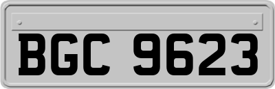 BGC9623