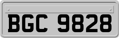BGC9828