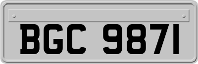 BGC9871