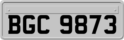 BGC9873