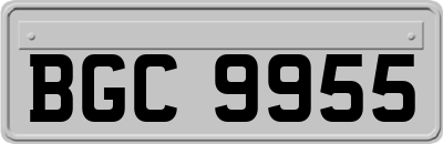 BGC9955