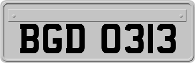 BGD0313