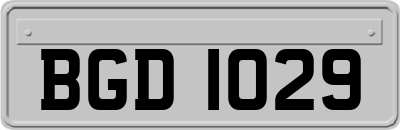 BGD1029