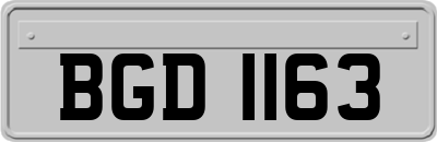 BGD1163