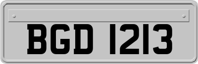 BGD1213