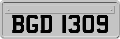 BGD1309