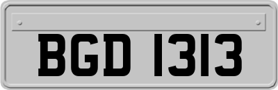 BGD1313