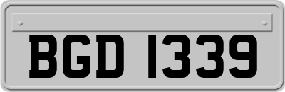 BGD1339