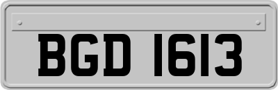 BGD1613