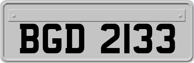 BGD2133