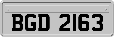 BGD2163