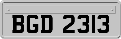 BGD2313