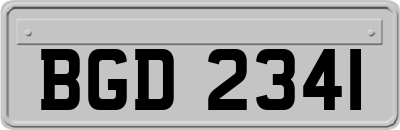 BGD2341