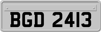 BGD2413