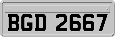 BGD2667