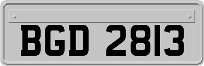 BGD2813