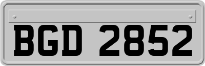 BGD2852