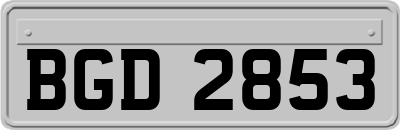 BGD2853