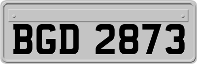 BGD2873