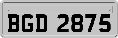 BGD2875