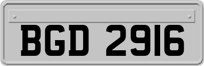 BGD2916